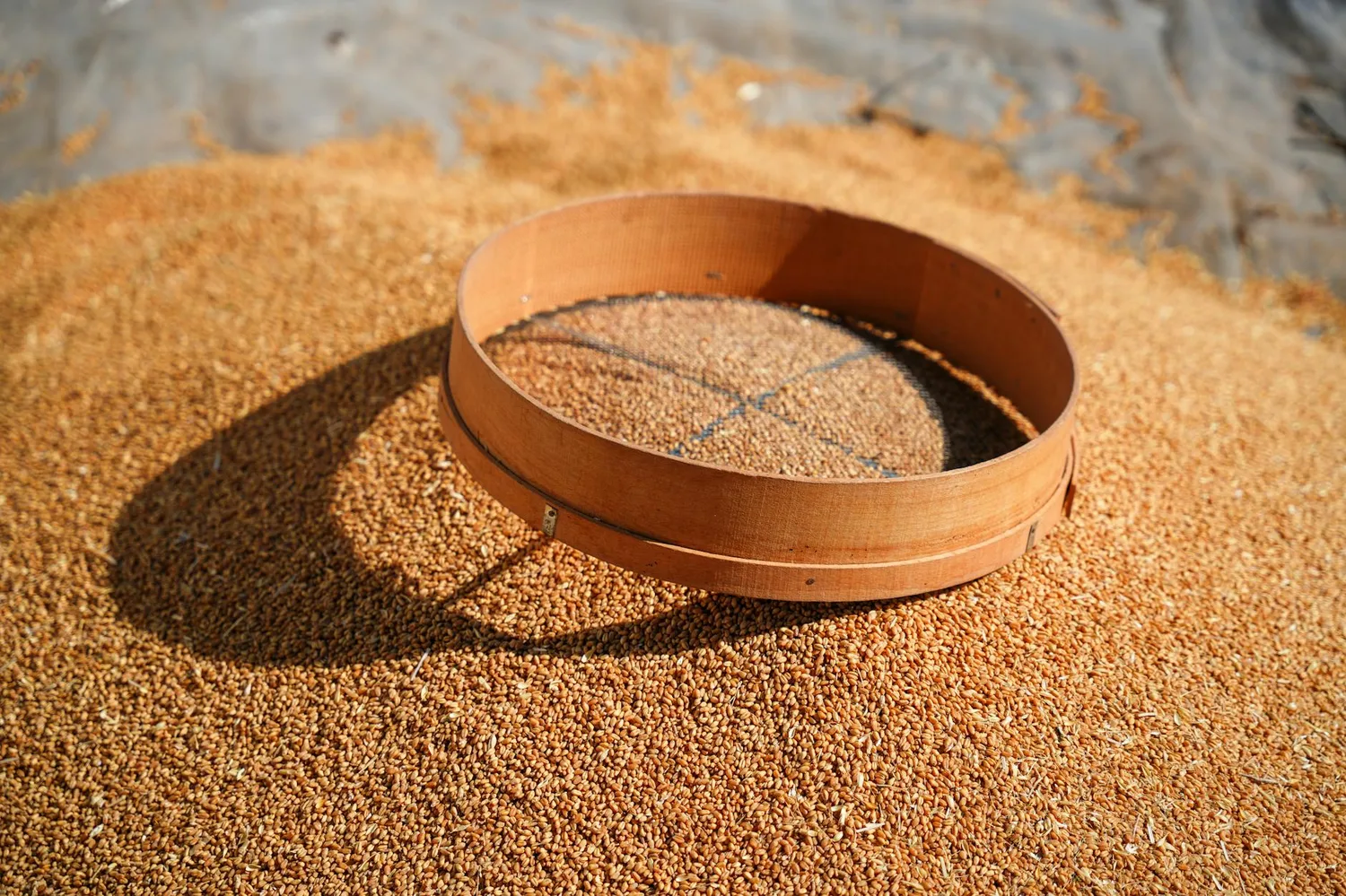 Grain de beauté gratté : que faire et quand s&rsquo;inquiéter ?