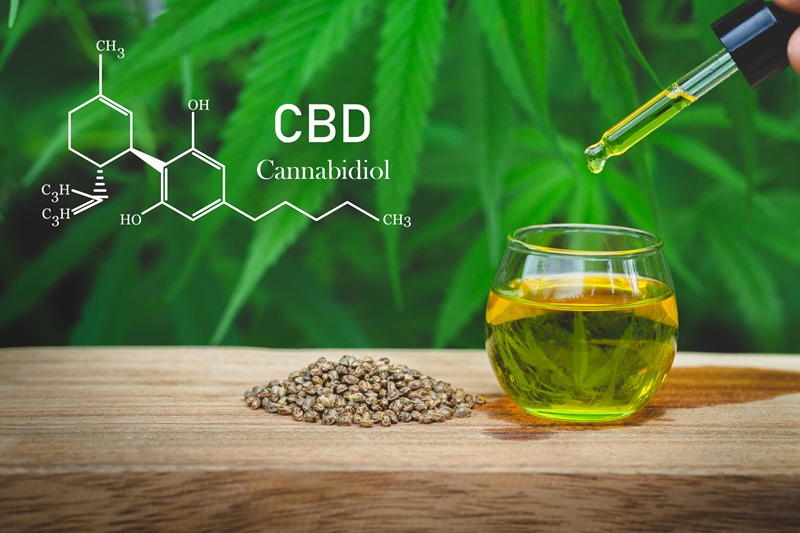 Cannabinoïde : comprendre leur rôle dans le bien-être quotidien